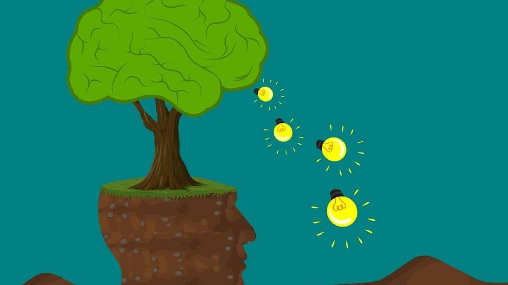 What Is The Food Stamps Interview Number in Florida?