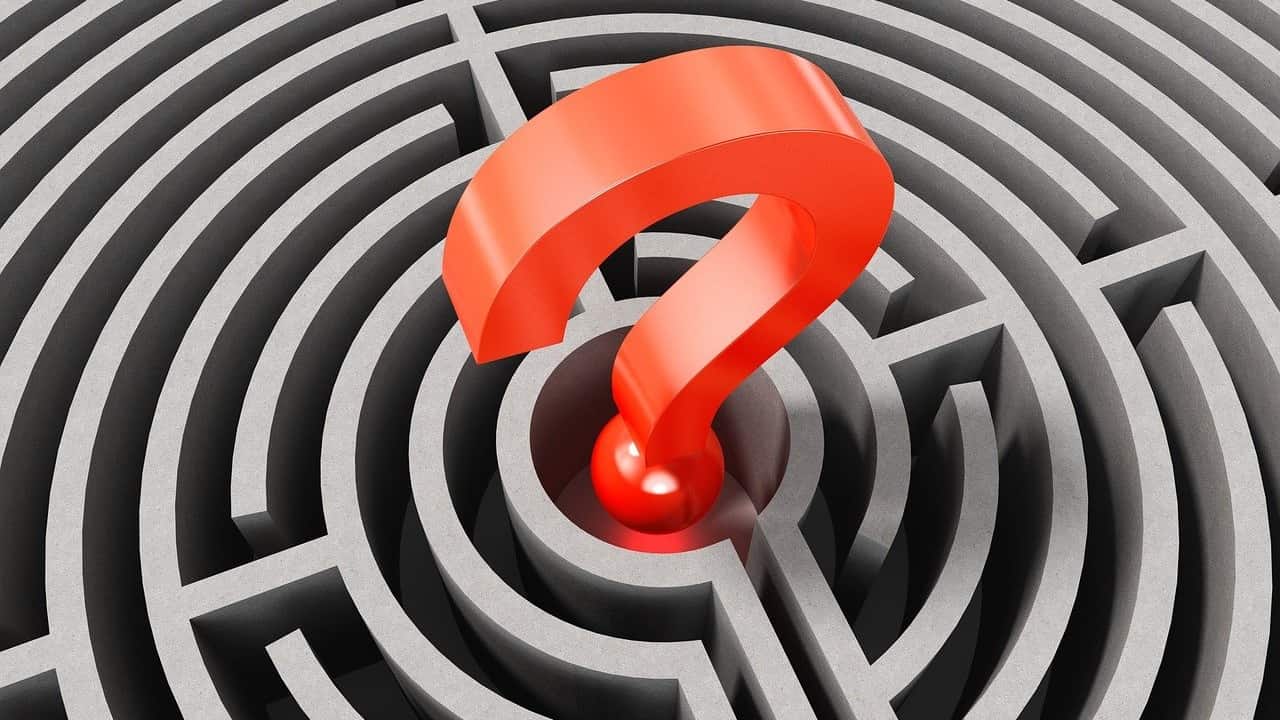 What Is the Food Stamps Case Number?